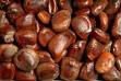  TAMARIND  SEEDS AND  TAMARIND   SPICE S