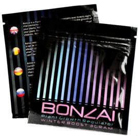 Bonzia Winter Boost