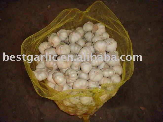 Best garlic in mesh bag