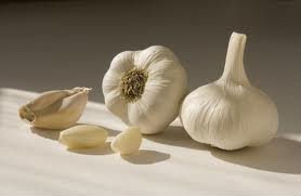 Cold Storage Garlic Freh White  Garlic
