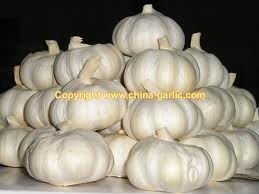 Premium Quality Garlic Loose Garlic Dried Garlic