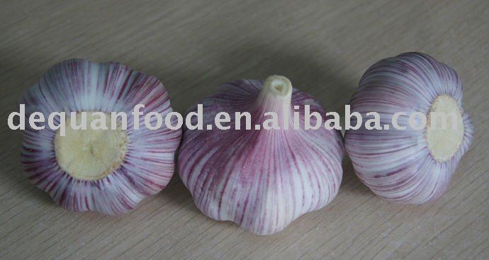 Chinese red garlic 2011 new crop