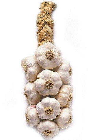 Chinese Fresh Cold- storage d  Garlic 