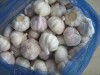 New Crop Garlic Peeled Garlic