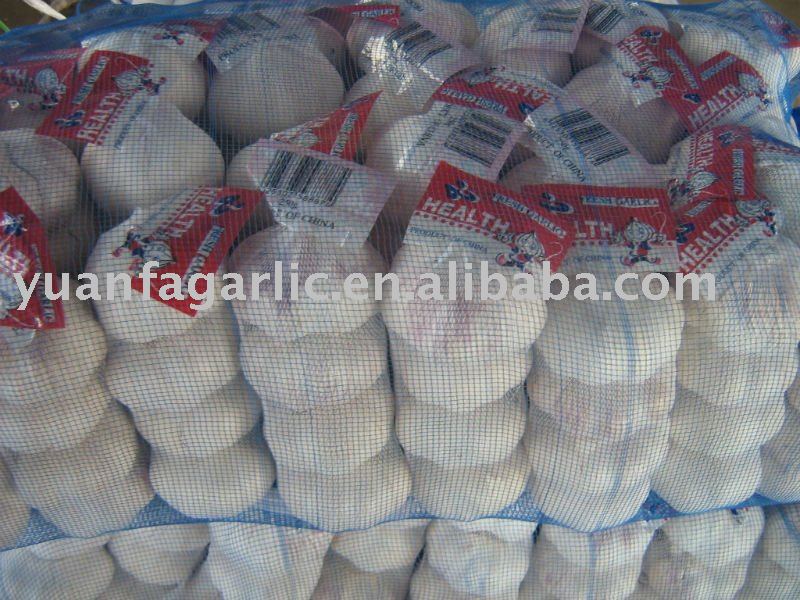 Fresh Garlic in Mesh Bag, MOQ:1*20 FCL