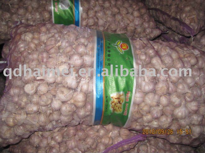  bulk   fresh   garlic 