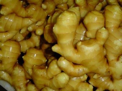 dehydrate dry ginger whole,spice