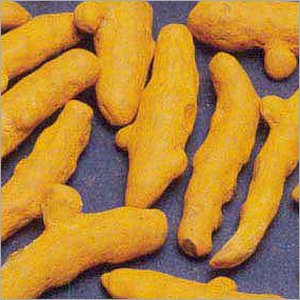tumeric fingers
