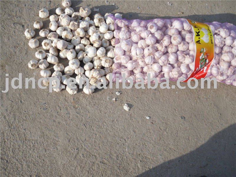 China Garlic of high quality