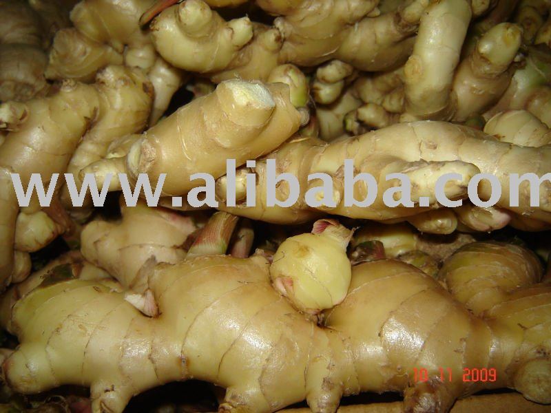 Fresh ginger
