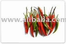 Fresh and Dried chilli pepper