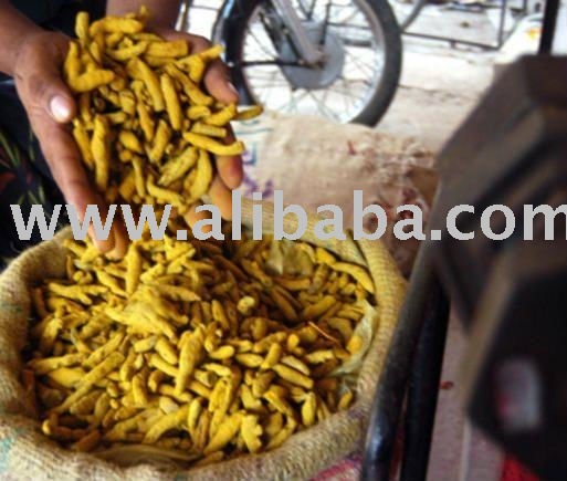 Fresh and Dried Tumeric for sale