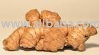 Dry Ginger