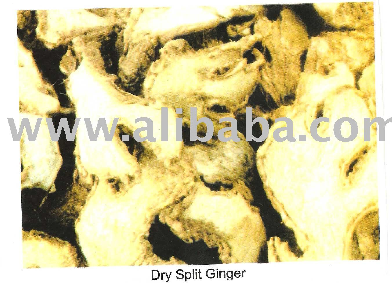  Dry   Split   Ginger 