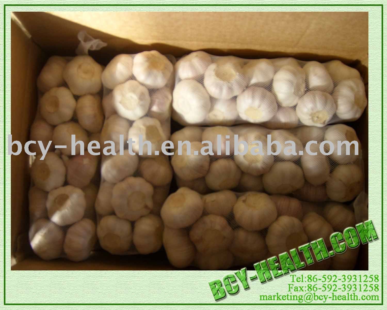 Fresh Garlic 100g/net bag