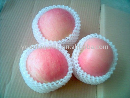 china fresh red fuji apple in carton package