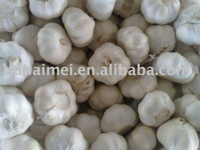 2011 fresh garlic in jinxiang