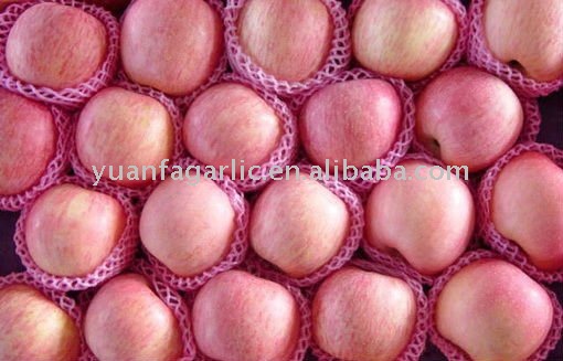 new crop fuji apple