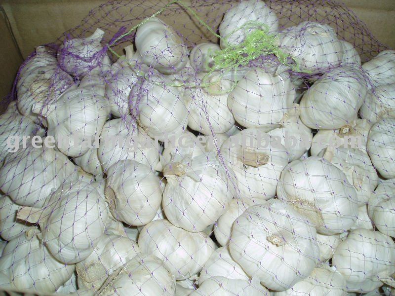 2011 New Crop of Pure White/Normal White Garlic in Right Price in 10kg