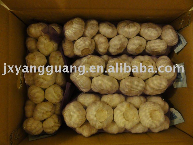 2011 Jinxiang pure white garlic in mesh bag