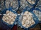 2011 New Crop of Pure White/Normal White Garlic in Good Price
