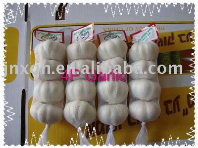 small packing garlic