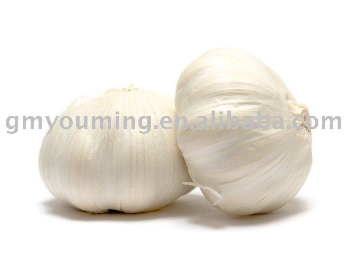  Fresh   Normal   Garlic 