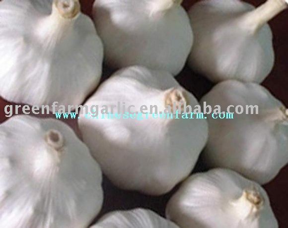  New   Crop   Pure   White   Garlic ,Normal  White   Garlic  in Good Price
