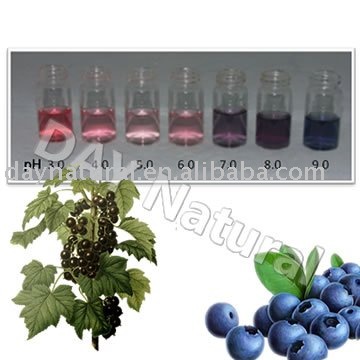 Anthocyanidin/Anthocyanin --from blackcurrant