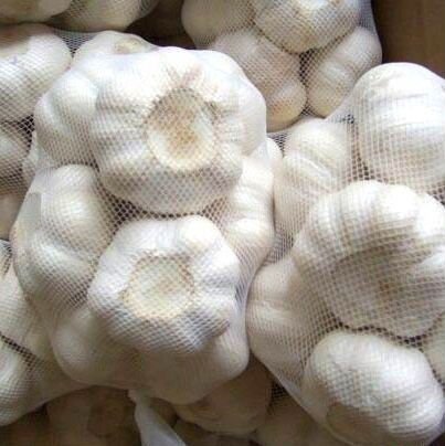 China Fresh Garlic in Carton Package