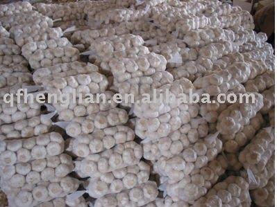  All   size s White  Garlic 