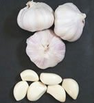 Chinese Fresh Garlic in Carton Package, MOQ:1*20 FCL
