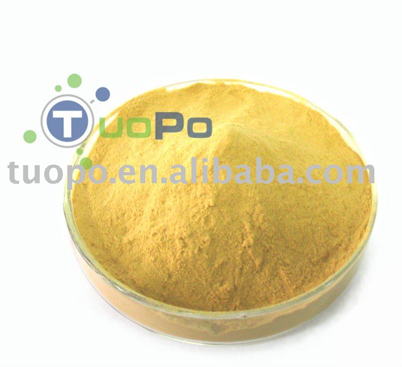 Yeast Extract powder for food