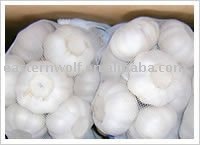 China Garlic in Mesh Bag Package, MOQ:1*20 FCL