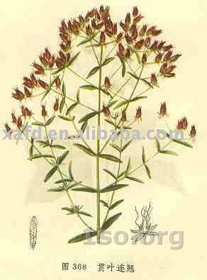 st. john's wort extract powder for raw material
