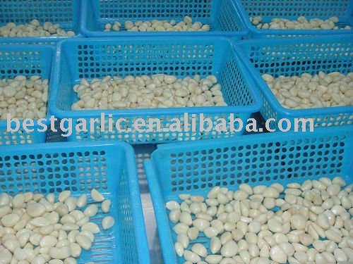 fresh garlic cloves