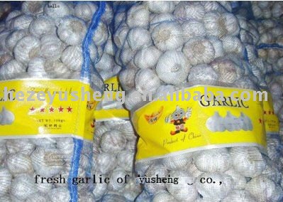10kg bulk fresh garlic