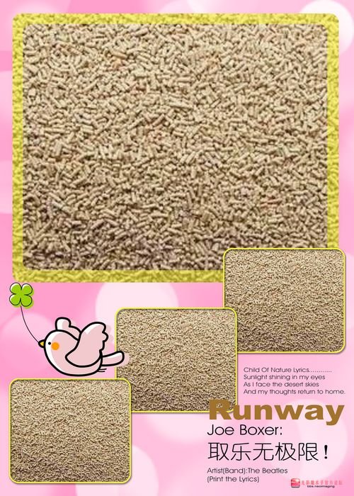  Bakery   Yeast   powder 