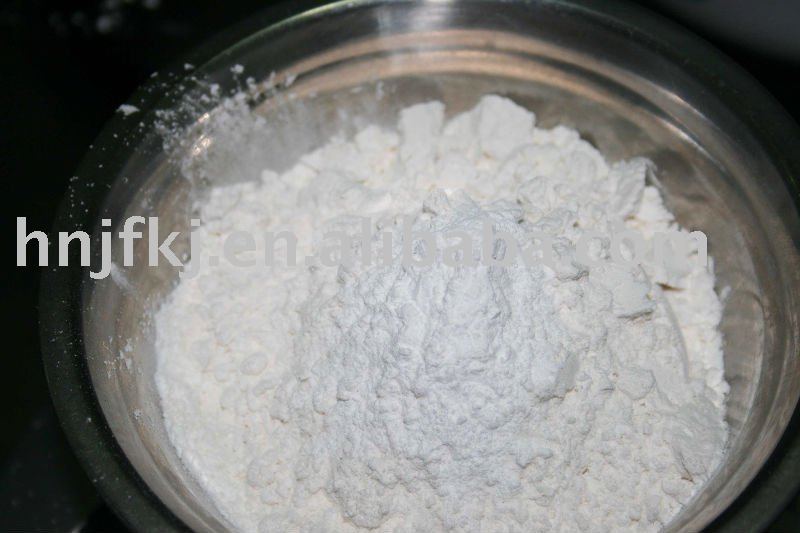 tasty cake companion for bakery