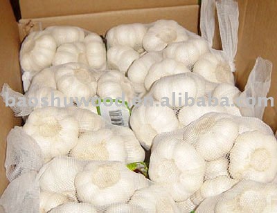 2010 New Pure White Garlic