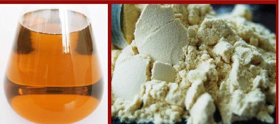  Juice   Enzyme s