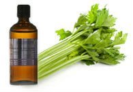 Celery
