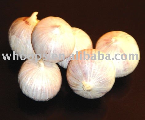  Fresh  clove garlic