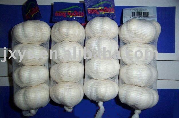 2010 new fresh  garlic   bulb s