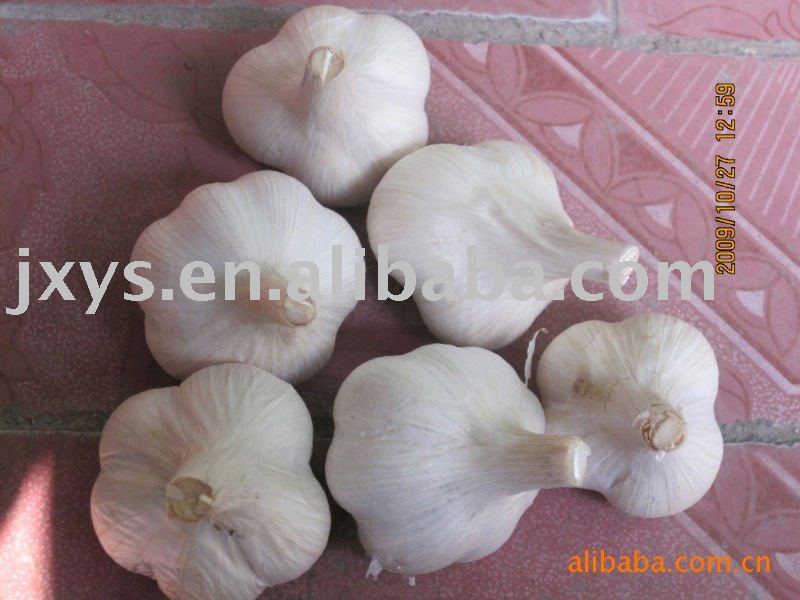 2010 new  fresh   frozen   garlic 