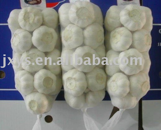 chinese snow white garlic