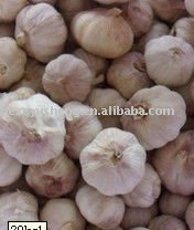 2011 fresh chinese normal white garlic best price