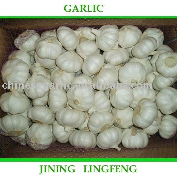  Pure   white   garlic  in  10kg   mesh  bag