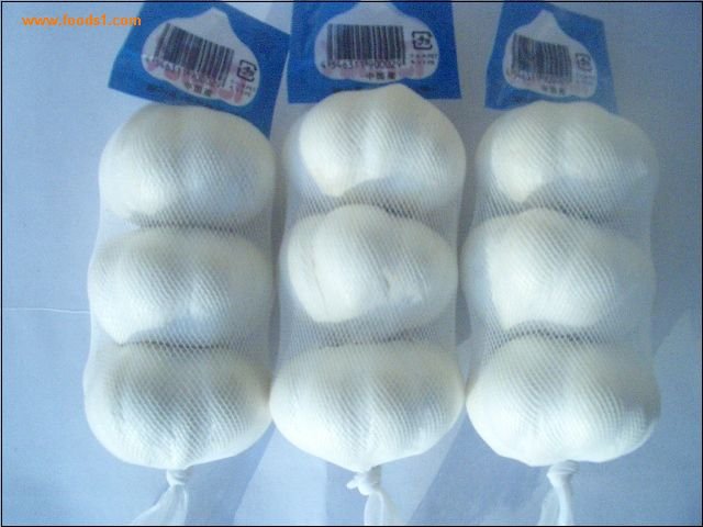 Fresh Garlic in Mesh Bag Package, MOQ:1*20 FCL