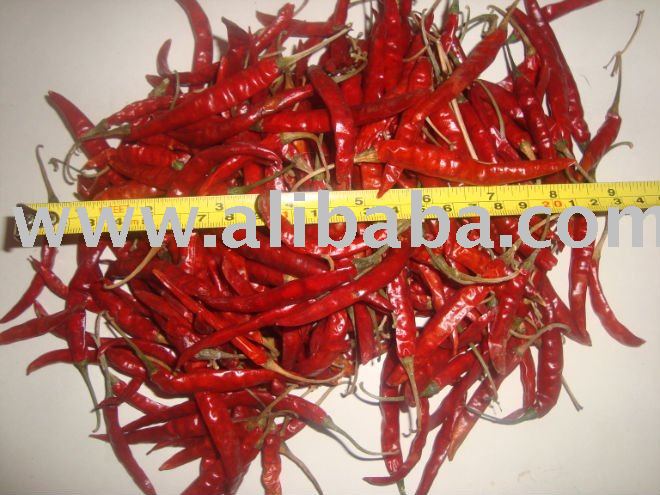 Indian Red Dry Chilli Guntur Teja